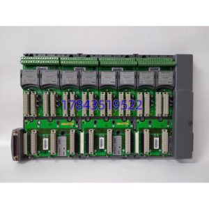 ICS TRIPLEX 9300+9832+9802 | AADvance端子装配组