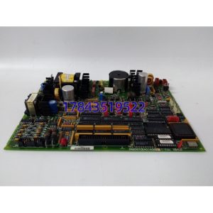 GE DS200TCEAG1ACB | 硬接线跳闸/2oo3 表决