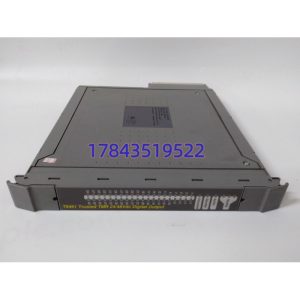 ICS Triplex T8461 | ESD阀门驱动