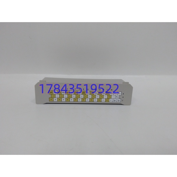 Westinghouse 1C31238H01 | 停产DCS系统备件 - 图片 2