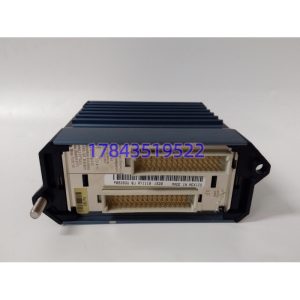 FOXBORO FBM230 P0926GU | 4串口FDSI通信模块
