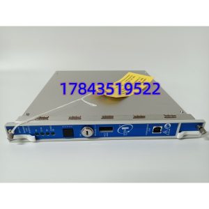 Bently Nevada 350022M 288055-01 | 3500/22M 瞬态数据接口TDI