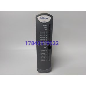 ICS TRIPLEX T9432 | 模拟输入模块