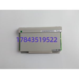 Emerson 1C31219G01 | 16通道继电器输出电子模块