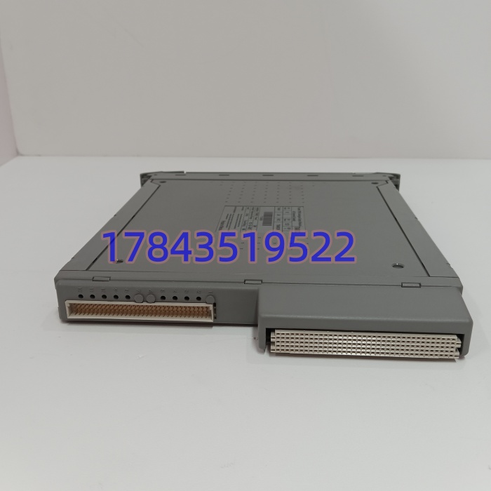 ICS Triplex T8480C | 三重化冗余模拟量输出模块 - 图片 4