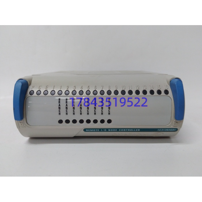 Emerson Westinghouse 1C31203G01 | Ovation远程节点控制器RNC现货
