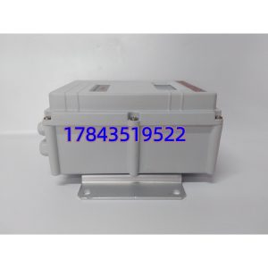 GE AT686W-1-1-1-1 | 励磁控制与继电器输出模块 现货供应