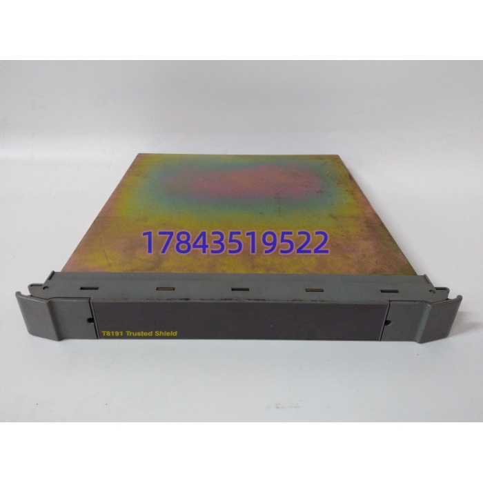 ICS Triplex T8191 | TMR 数字量输入模块 - 图片 3