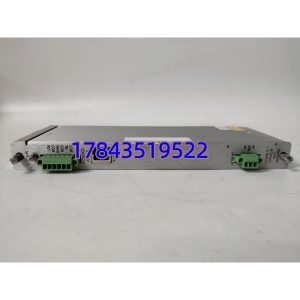 Bently Nevada 146031-01 | 瞬态数据接口模块 库存充足