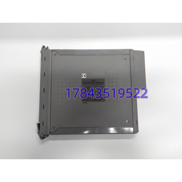ICS Triplex T8403 | TMR数字输入模块 - 图片 3