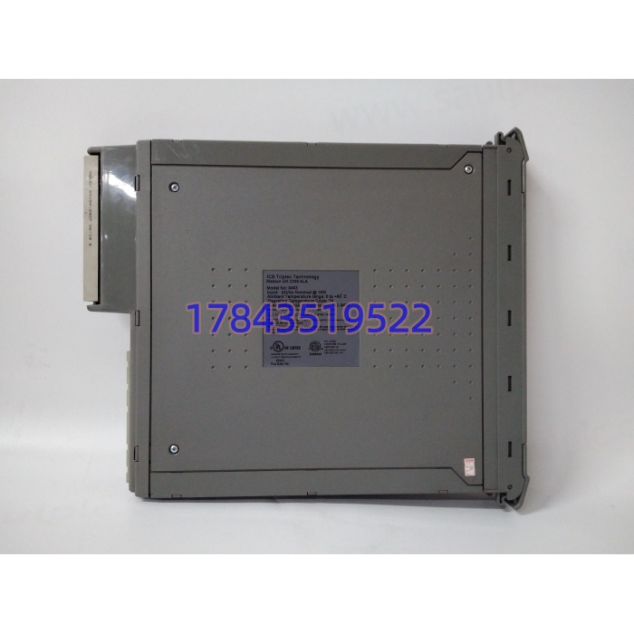 ICS Triplex T8403 | 40路24V DC数字量输入 - 图片 3
