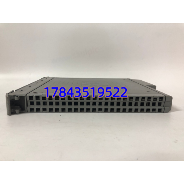 ICS Triplex T8403 | 火气与急停系统输入模块 全新原装质保一年 - 图片 3