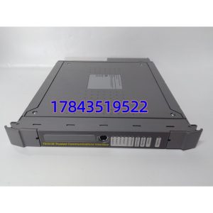 ICS Triplex T8161B 数字量输入模块 | 16通道 PNP/NPN可选 全新备件 现货直发