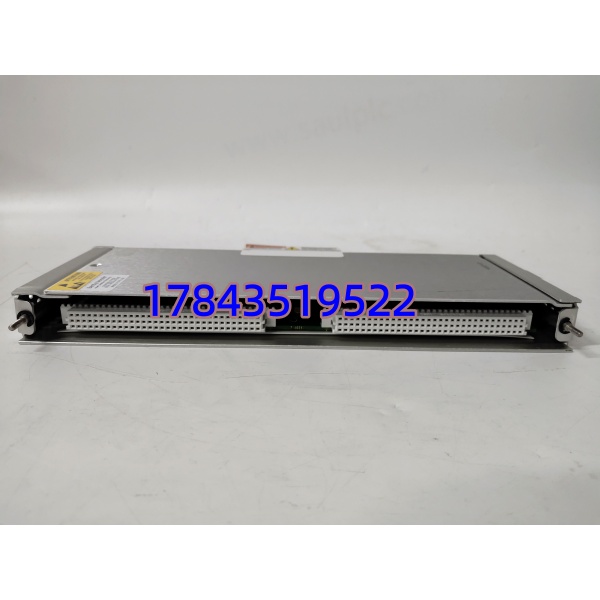 Bently Nevada 146031-01 | 瞬态数据接口模块 库存充足 - 图片 3