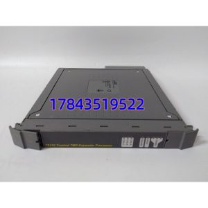 ICS TRIPLEX T8310 | 可信TMR扩展处理器 安全仪表系统 现货