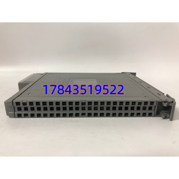 ICS TRIPLEX T8310 | Trusted TMR扩展处理器 安全系统SIL3认证