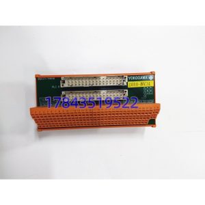 横河 YOKOGAWA 8596020000 | 工业定制处理模块 DCS备件现货