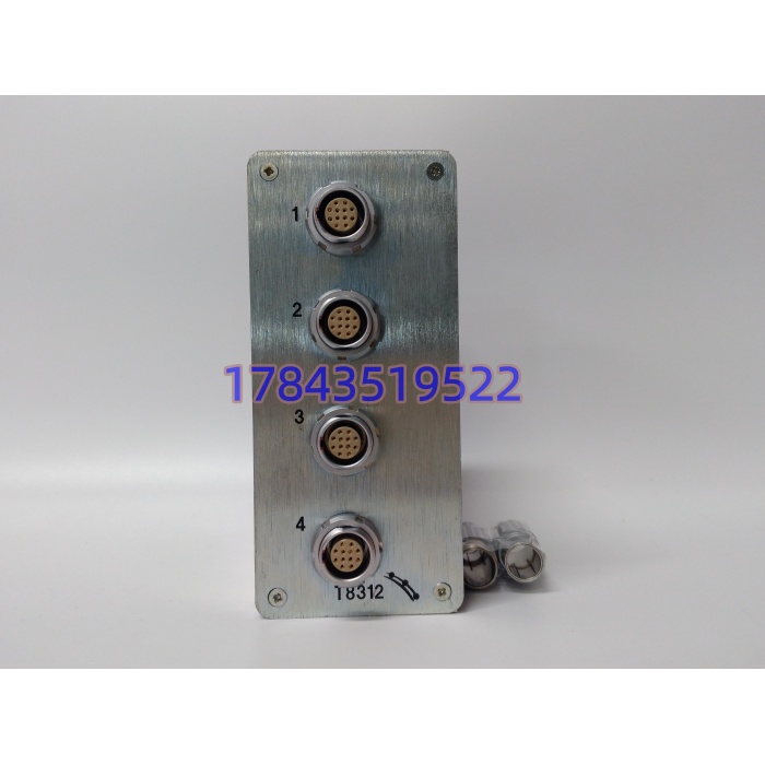 ICS Triplex T8312 | TMR扩展接口适配器 - 图片 4
