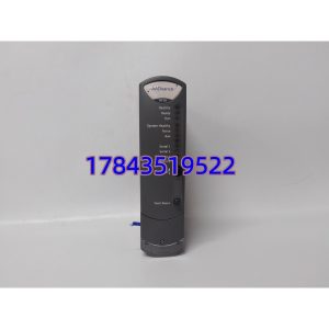 ICS Triplex T9110 | Trusted系统主处理器模块