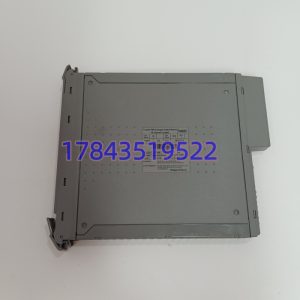 ICS Triplex T8480C | 三重化冗余模拟量输出模块