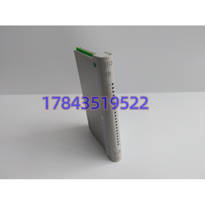 Emerson 1C31219G01 | 16通道继电器输出电子模块 - 图片 2