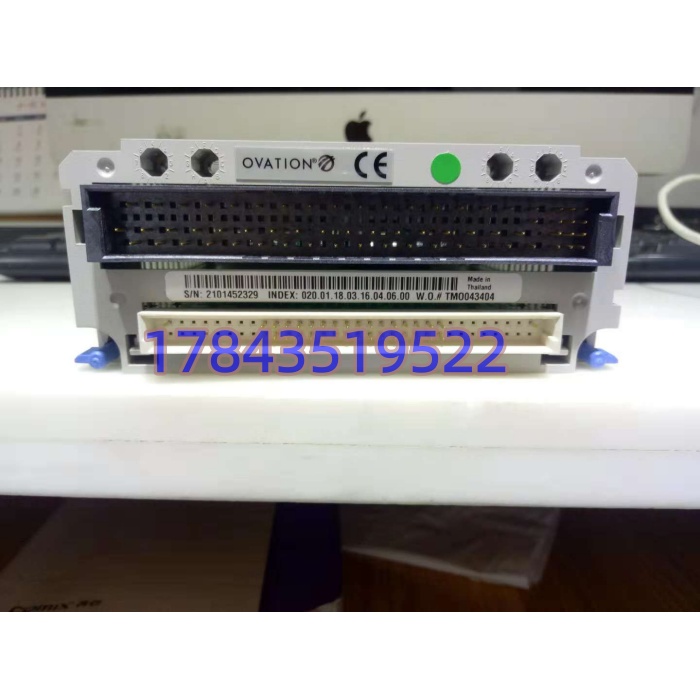 Westinghouse 1C31224G01 | 32通道带滤波DI模块 - 图片 4