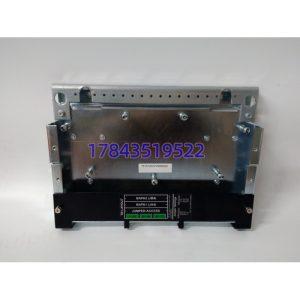 GE 8767GE IS210SAMBH2AA | Mark VIe 原装正品