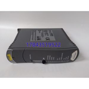 ICS TRIPLEX T9110 | TMR处理器