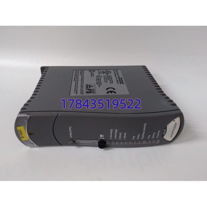 ICS TRIPLEX T9110 | TMR处理器