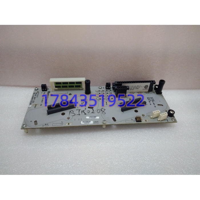 Honeywell 51308365-175 | 12寸AI端子