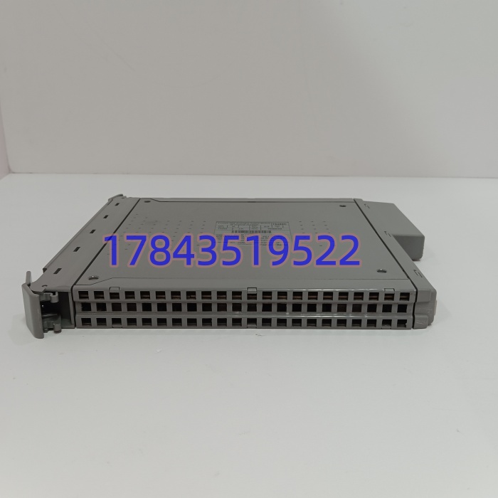 ICS Triplex T8480C | 三重化冗余模拟量输出模块 - 图片 2