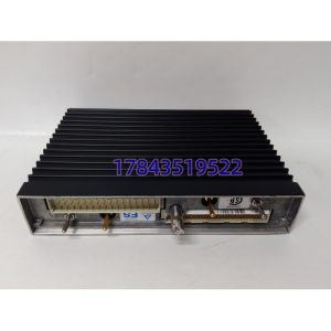 Triconex AI3351 7400206-100 | TMR模拟量输入模块现货