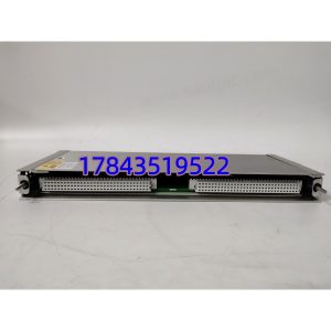 本特利 125800-01 | 键相输入/输出模块 I/O卡件 快速发货