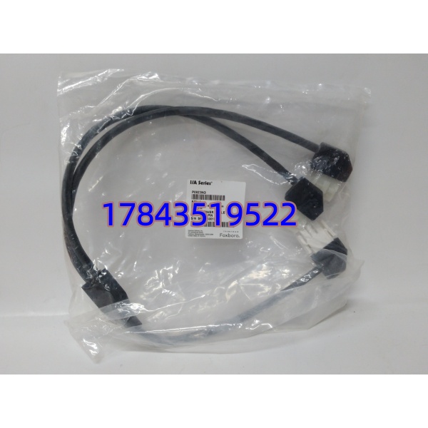 Foxboro P0923NG | I/A Series电源输入端子模块 冗余24VDC 现货
