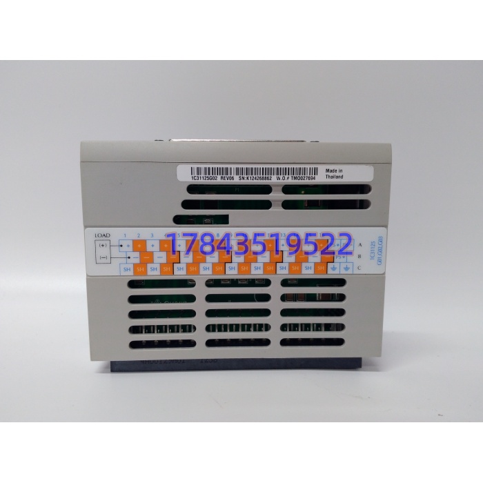 Emerson Westinghouse 1C31125G02 | 16通道继电器DO卡 Ovation现货