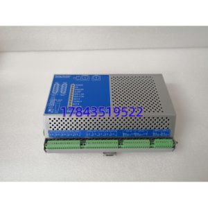 Bently Nevada 60M100-00 | 60M系列通用状态监测器
