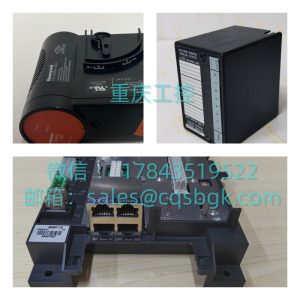 WESTINGHOUSE 1C31124G01 | Ovation DCS 电子 I/O 模块（EMOD）现货供应