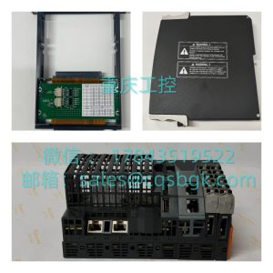 NIKUNI 25KLD07Z-M | 半导体 / 电镀设备循环泵 兼容替换备件
